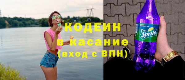 индика Балахна