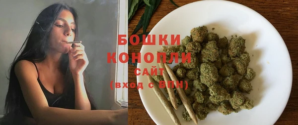 индика Балахна