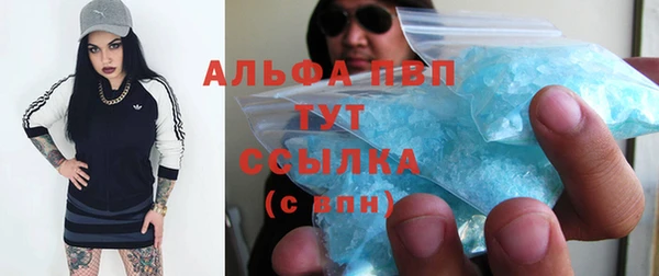 индика Балахна