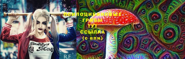 индика Балахна