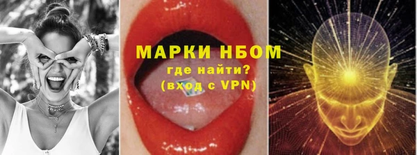 индика Балахна