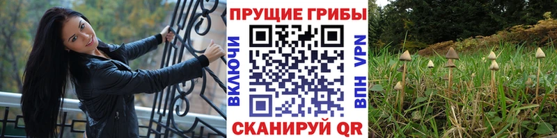 Галлюциногенные грибы прущие грибы мега как войти Монино