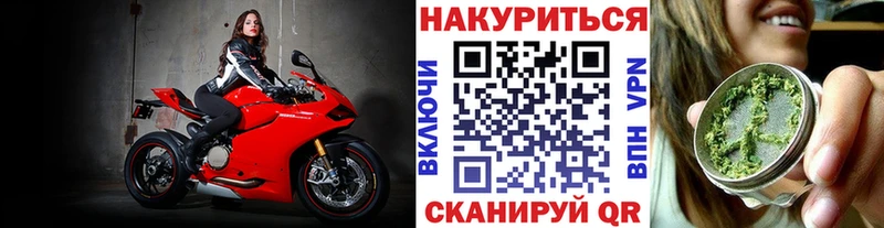 Бошки Шишки конопля  Монино 